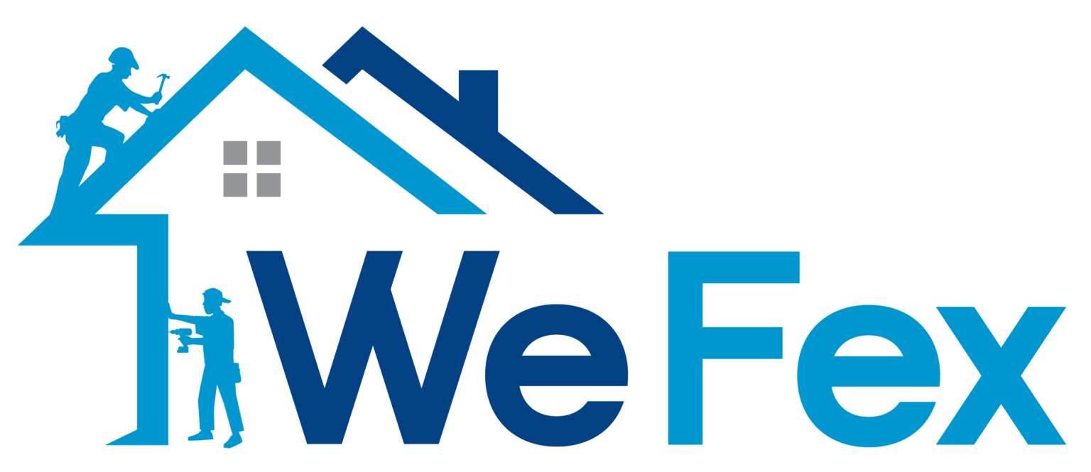 Wefex Logo